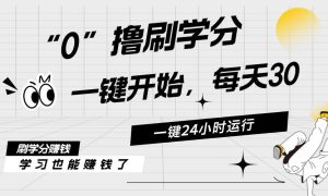 最新刷学分0撸项目，一键运行，每天单机收益20-30，可无限放大，当日即…