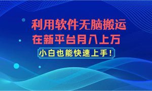 利用软件无脑搬运，在新平台月入上万，小白也能快速上手