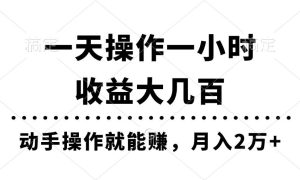 一天操作一小时，收益大几百，动手操作就能赚，月入2万 教学