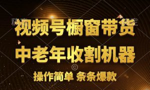 [你的孩子成功取得高位]视频号最火爆赛道，橱窗带货，流量分成计划，条…