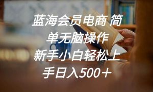 蓝海会员电商 简单无脑操作 新手小白轻松上手日入500＋