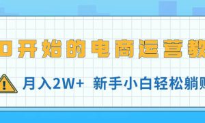 从0开始的电商运营教学，月入2W ，新手小白轻松躺赚