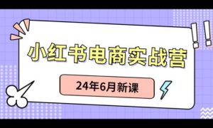 小红书电商实战营：小红书笔记带货和无人直播，24年6月新课