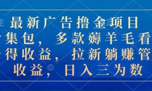 最新广告撸金项目合集包，多款薅羊毛看广告收益 拉新管道收益，日入三为数