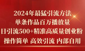 2024年最猛暴力引流方法，单条作品百万播放 单日引流500 高质量精准创业粉