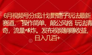 6月视频号分成计划野路子玩法最新赛道操作简单，颠公风格玩法清奇，流…