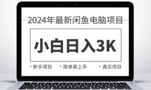 2024最新闲鱼卖电脑项目，新手小白日入3K ，最真实的项目教学