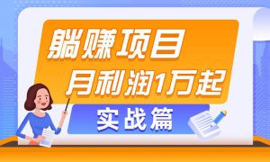 躺赚副业项目，月利润1万起，当天见收益，实战篇