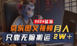 2024最新蓝海项目，只靠无脑搬运，不需要剪辑，有手就会，京东图文视频…