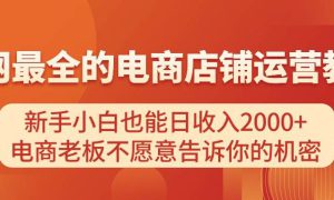 电商店铺运营教学，新手小白也能日收入2000 ，电商老板不愿意告诉你的机密