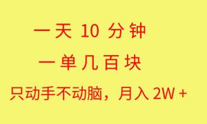 一天10 分钟 一单几百块 简单无脑操作 月入2W 教学