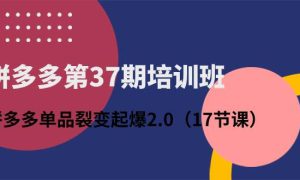 拼多多第37期培训班：拼多多单品裂变起爆2.0（17节课）