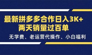 最新拼多多合作日入3K 两天销量过百单，无学费、老运营代操作、小白福利