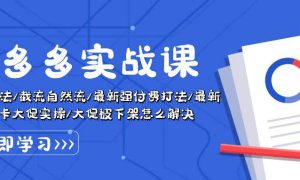 拼多多·实战课：万人团玩法/截流自然流/最新强付费打法/最新原价卡大促..