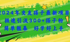 2024年交友搭子最新项目，极速引流300 搭子粉，简单粗暴，好学好上手