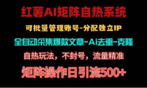 红薯矩阵自热系统，独家不死号引流玩法！矩阵操作日引流500