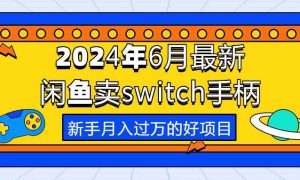 2024年6月最新闲鱼卖switch游戏手柄，新手月入过万的第一个好项目