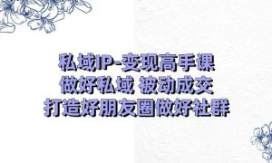 私域IP-变现高手课：做好私域 被动成交，打造好朋友圈做好社群（18节）