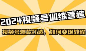 2024视频号训练营，视频号爆款打造，如何变现教程（20节课）