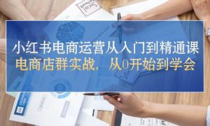 小红书电商运营从入门到精通课，电商店群实战，从0开始到学会