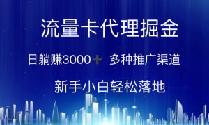 流量卡代理掘金 日躺赚3000  多种推广渠道 新手小白轻松落地