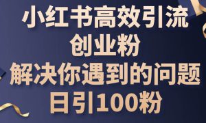 小红书高效引流创业粉，解决你遇到的问题，日引100粉