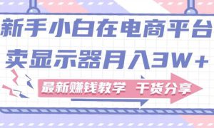 新手小白如何做到在电商平台卖显示器月入3W ，最新赚钱教学干货分享