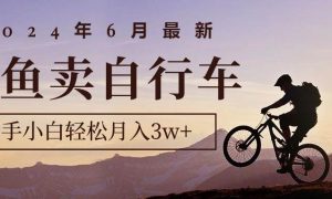 2024年6月最新闲鱼卖自行车，新手小白轻松月入3w 项目