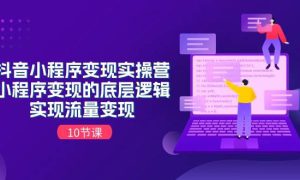 抖音小程序变现实操营，小程序变现的底层逻辑，实现流量变现（10节课）