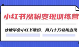 2024小红书涨粉变现训练营，快速学会小红书涨粉，月入十万轻松变现(40节)