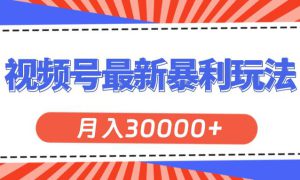 视频号最新暴利玩法，轻松月入30000