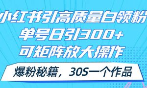 小红书引高质量白领粉，单号日引300 ，可放大操作，爆粉秘籍！30s一个作品