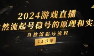 2024游戏直播-自然流起号稳号的原理和实战，自然流起号流程（11节）