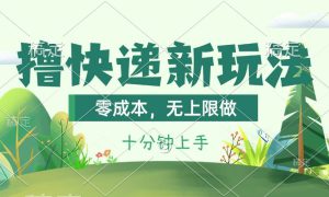 撸快递最新玩法，零成本，无上限做，日产1000 。课程看完就会