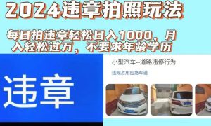 2024违章拍照新玩法，推广躺赚 拍照赚钱双模式，日入1000