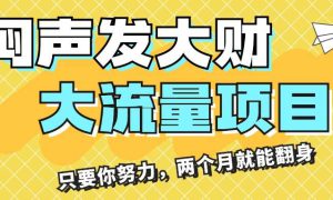 闷声发大财，大流量项目，月收益过3万，只要你努力，两个月就能翻身