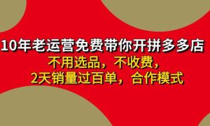 拼多多 最新合作开店日收4000 两天销量过百单，无学费、老运营代操作、…