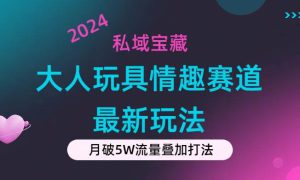 私域宝藏：大人玩具情趣赛道合规新玩法，零投入，私域超高流量成单率高