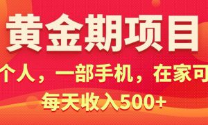 黄金期项目，电商搞钱！一个人，一部手机，在家可做，每天收入500