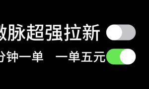 微脉超强拉新， 两分钟1单， 一单利润5块，适合小白