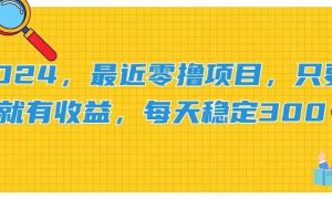 2024，最近零撸项目，只要做就有收益，每天动动手指稳定收益300