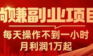 躺赚副业项目，每天操作不到一小时，月利润1万起，实战篇