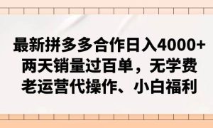 最新拼多多合作日入4000 两天销量过百单，无学费、老运营代操作、小白福利