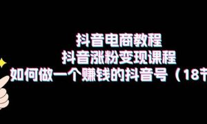 抖音电商教程：抖音涨粉变现课程：如何做一个赚钱的抖音号（18节）