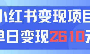 利用小红书卖资料单日引流150人当日变现2610元小白可实操（教程 资料）