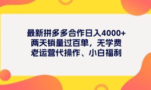 最新拼多多项目日入4000 两天销量过百单，无学费、老运营代操作、小白福利