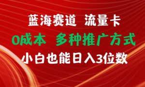 蓝海赛道 流量卡 0成本 小白也能日入三位数