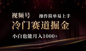 2024视频号冷门赛道掘金，操作简单轻松上手，小白也能月入1000