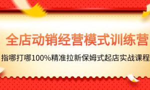 全店动销-经营模式训练营，指哪打哪100%精准拉新保姆式起店实战课程