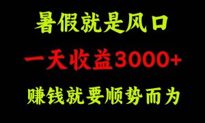 一天收益3000  赚钱就是顺势而为，暑假就是风口